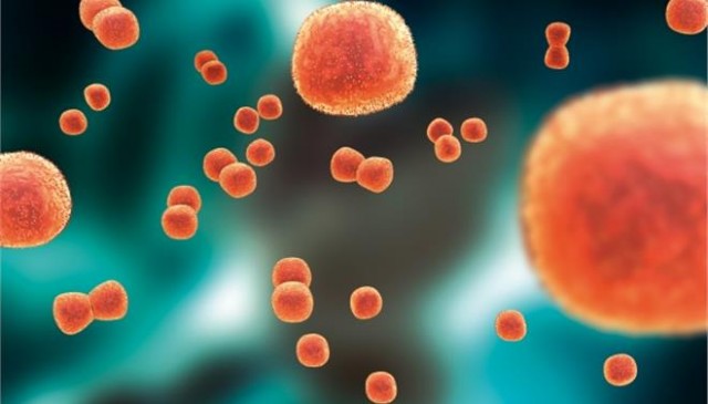 qO3B5A9Oh9pC6aUlOqMm