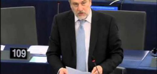 Annual report on human rights and democracy in the world 2014 and the EU policy on the matter