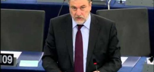 Trade in certain goods which could be used for capital punishment, torture or other treatment or pun