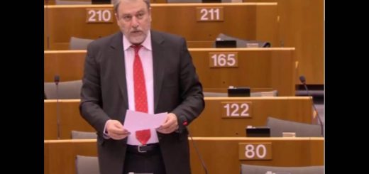 Non tariff barriers in the Single Market