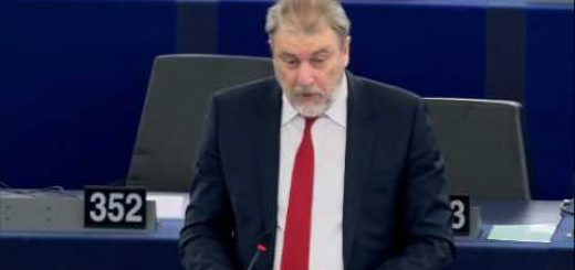 Priorities for the 61th session of the UN Commission on the Status of Women