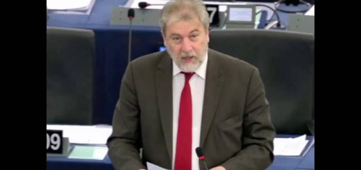 Acuerdo marco sobre el permiso parental