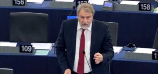 Activities Of The Committee On Petitions 2015 (II)