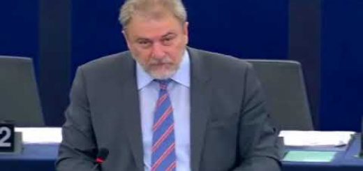 Revisión de la aplicación de la normativa medioambiental EIR debate