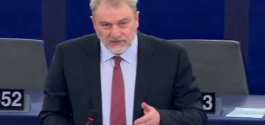 Aplicación de las estrategias macrorregionales de la UE