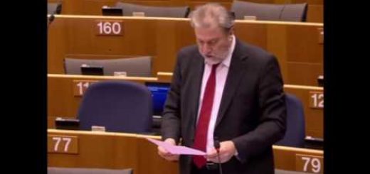 Attuazione e seguito dell’Anno europeo per lo sviluppo