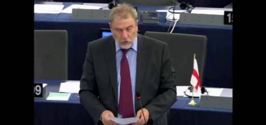 Seguito delle linee d’azione per le professioni liberali