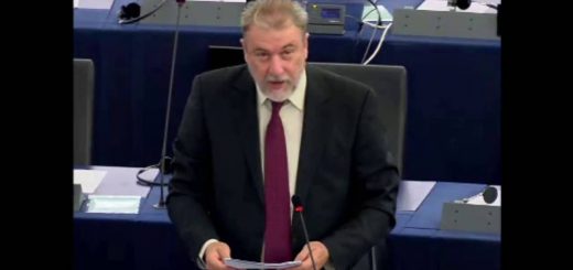 Situazione dei diritti fondamentali nell’UE B’ 2013 2014