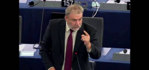 Situazione dei diritti fondamentali nell’UE 2013 2014