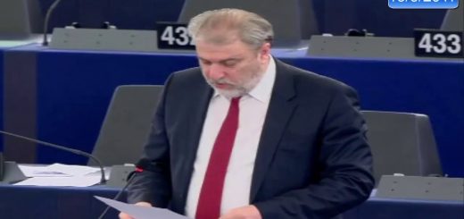 Responsabilità del proprietario e cure da prestare agli equidi