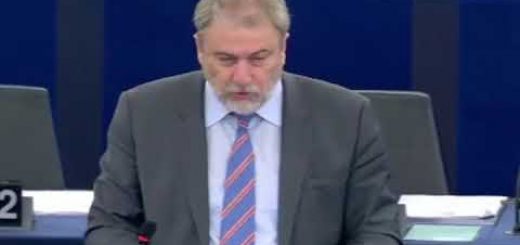 Riesame dell’attuazione delle politiche ambientali EIR discussione