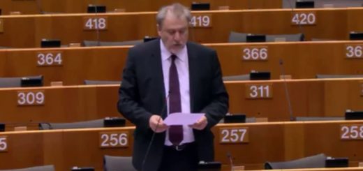 Relazione annuale sulla situazione dei diritti fondamentali nell’Unione europea nel 2016