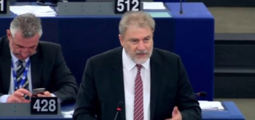 Armonizzazione e semplificazione di determinate norme nel sistema